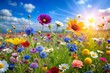 © Introvertia - Vibrant wildflower meadow beneath clear blue sky with bright sun rays creating peaceful summer ambiance