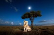 © Sanchai - African animals, night sounds, the roar of lions and the distant howls of hyenas create a primal soundtrack