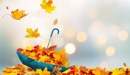 Wall Mural - Autumn concept. Beautiful dry autumn leaves falling into blue umbrella on golden round bokeh background in nature.