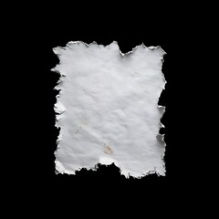 Wall Mural - Blank ragged paper texture isolated on black