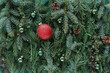 © RooM The Agency - Full frame close-up of assorted coniferous branches decorated with festive Christmas baubles