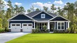 © Alienmarsh - Blue House with a White Trim and a Green Lawn