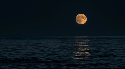 Wall Mural - Night sky with big blue moon rises above the sea