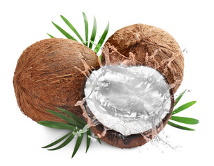 Poster - Fresh coconut water splashing in nut on white background