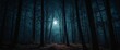 © DEER FLUFFY - a dark forest with a full moon in the background.