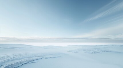 a vast tundra landscape covered in a blanket of snow, with a pale blue sky stretching overhead