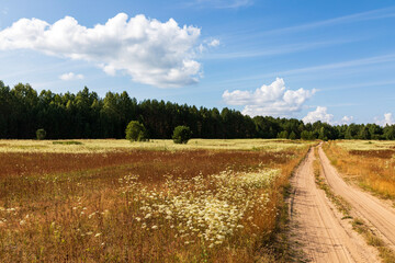 Path in the field