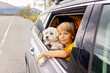 © Tomsickova - Cute child, peeping out of a window car, looking at a beautiful landcape view in Lofoten, Norway