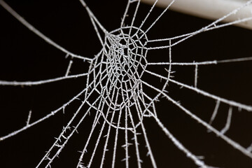a stunning closeup view of a delicate spider web glistening with dew drops, showcasing the beauty of