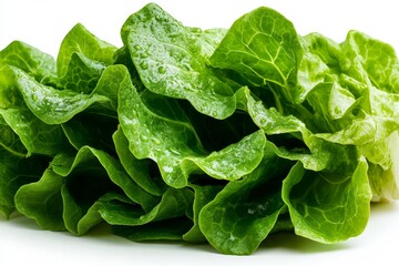 Farm product, organic lettuce, fresh and crisp provides the perfect base for healthy salads