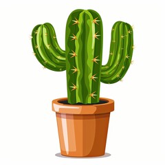 Cactus cartoon botanical cacti potted cute cactaceous succulent plant botany illustration isolated on white background.