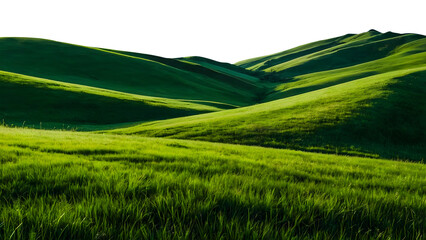 Lush green hill png Green Grassy Hills png Green grassy hills isolated on transparent  rolling hills blanketed png in vibrant green grass Green Hills Landscape cut out Hills with grass png