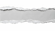 © Maestro - Torn paper strip revealing gray background design, cut out transparent