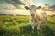 © Katavudh - Realistic dairy farm scene cows grazing in a green pasture high-definition clarity