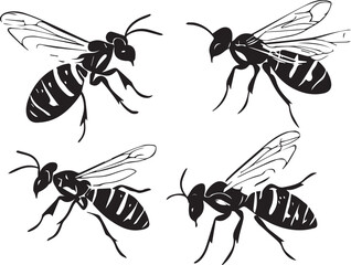 Set insect. Hand drawn vector illustration