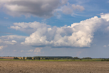 Wall Mural - a large cloud is in the sky above a field
