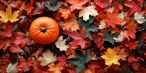 Wall Mural - A pumpkin nestled among fallen leaves, creating an autumnal scene for a fall-themed background or wallpaper., copy space for text