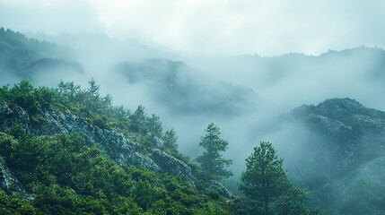 Wall Mural -   A hazy mountaintop surrounded by trees and shrouded in mist