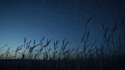 Poster -  A field of tall grass dances in the wind while the stars twinkle above