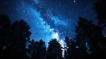 Wall Mural - A view of the Milky Way shining brightly in the night sky through a forest of pine trees.