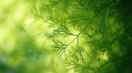 Wall Mural -    a tree branch with leafy foliage in the background