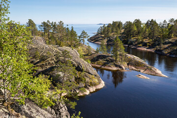 Wall Mural - The coast of Lake Ladoga