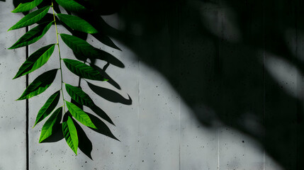 Canvas Print - Light Concrete Wall Texture Background With Leaves