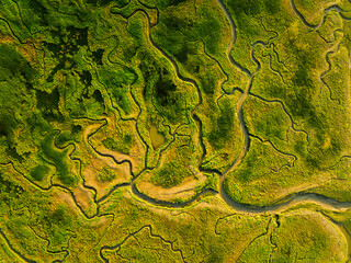 Wall Mural - nature from a drone. aerial view of a meandering river in a field. scene from air. landscape during 