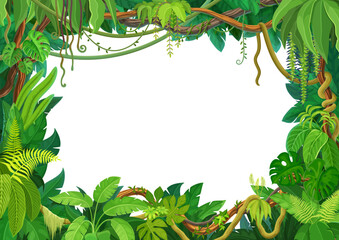 Wall Mural - tropical liana frame of jungle forest ivy branches or creeper plant vine, cartoon vector background.