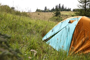 Wall Mural - Tent on green grass in mountains, space for text