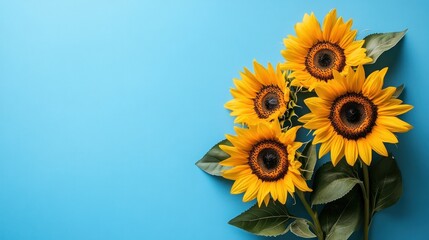 Sticker - Bright Yellow Sunflowers on a Blue Background