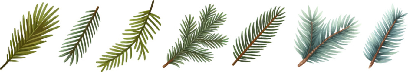 Fototapete - Pine cone vector icon.Christmas tree with green pine cone branches isolated on white baqckground. Fir tree branches with cones.