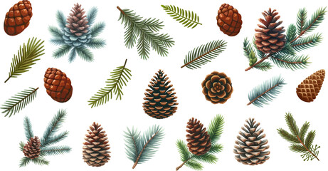 Fototapete - Pine cone vector icons collection.Christmas tree with green pine cone branches isolated on white baqckground. Fir tree branches with cones.