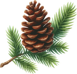 Fototapete - Pine cone vector icon.Christmas tree with green pine cone branches isolated on white baqckground. Fir tree branches with cones.
