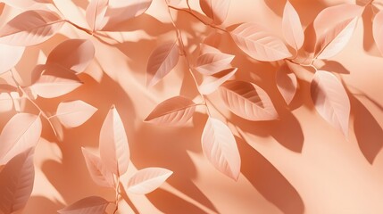 Wall Mural - Natural trendy background with shadows from leaves in Peach color peach color Pastel Beige Orange.
