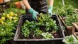 © Monchisa - Urban Garden Composting Initiative, an eco-friendly community effort to transform organic waste into nutrient-rich compost, promoting sustainability and enhancing urban greening.