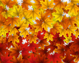 Canvas Print - Vibrant yellow, orange, and red maple leaves layered in a seamless, full-frame pattern, creating a rich autumnal background for seasonal designs.