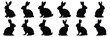 © Catnip - Rabbit silhouette set vector design big pack of rabbit illustration and icon