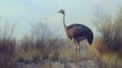 © LeoArtes - Ostrich in Nature, Photo Realistic, Texture, Pattern Background, Wallpaper, Cover and Screen for Smartphone, PC, Laptop, 9:16 and 16:9 Format