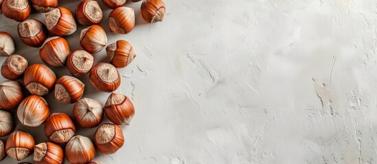 Wall Mural - hazelnuts in their shells on half a light surface space for text large ripe hazelnuts in even rows o