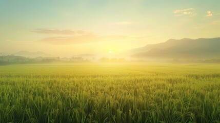 Wall Mural - Serene sunrise over lush green fields with distant mountains.