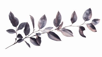 Poster - A leafy branch with a few leaves on it