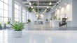 © Ameer - A blurred focus of a white open space office interior, suitable as a background.