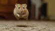 © Herlita - A Golden Hamster Leaps Through The Air With Its Paws Extended