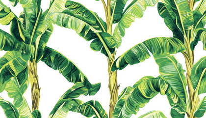 Wall Mural - A vibrant illustration of banana leaves, showcasing their lush green colors and textures against a white background.