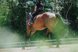 Equestrian riding a horse in a sunny outdoor arena, showcasing the dynamic movement and connection between rider and horse in a natural setting.