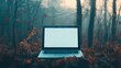 © tashechka - A laptop is placed on the forest floor among fallen leaves, highlighting the tranquility of remote work in nature's embrace