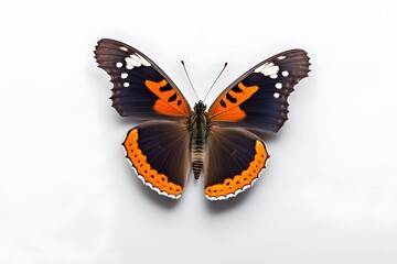 Sticker - Admiral butterfly on white background, Ai Generated