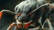 © Brynjar - A close-up, detailed view of an ant showcasing its intricate features and textures.