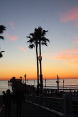 Wall Mural - Sunset Palm Tree Silhouettes on Pier